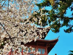 -堤角公园