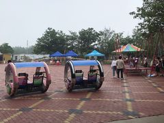 -杨柳青庄园