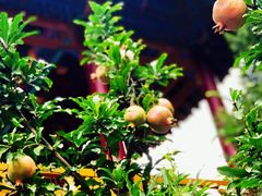 -南京金牛湖风景区