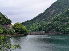 -白云源风景区