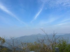 -北仑森林植物园