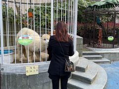 -上海崇明金茂凯悦酒店