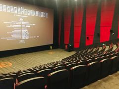 -上影国际影城(普陀绿地缤纷城店)