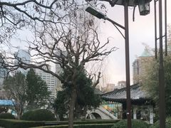 -团结湖公园