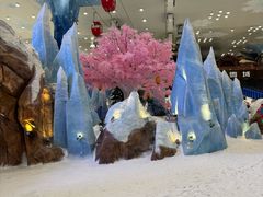 -长沙湘江欢乐雪域