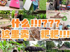 -大象粑粑造纸公园