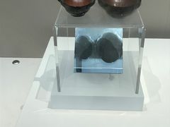 -南昌市博物馆