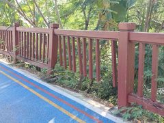 -金鸡岭桥头公园