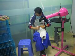 -圣宠动物医院·犬猫专科·影像中心·外科中心