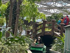 -南宫五洲植物乐园