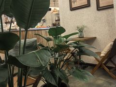 -绿房子方寸咖啡(星海名城店)