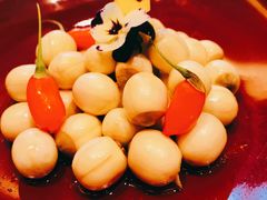 清口鲜白莲-富淳饭店(陆家嘴保利广场店)
