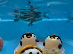 -帝企鹅自助餐厅•儿童岛•真企鹅(长隆企鹅酒店)