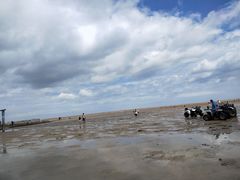 -刘家湾赶海园