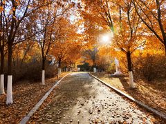 -长春世界雕塑园冰雪艺术天地