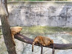 -西霞口神雕山野生动物世界