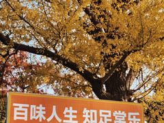 -狼山风景名胜区