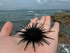 -清水湾旅游度假区