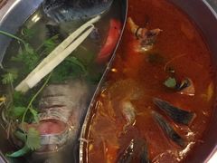 -芦苇荡·酸汤鱼(回龙观店)