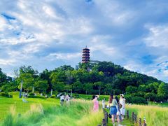 -红花山公园