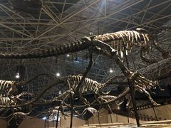 -世界恐龙谷景区