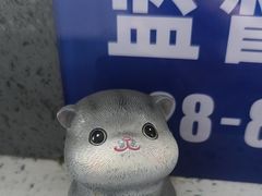 -半岛宠物医院24小时(白果林店)