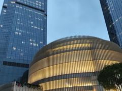 -港汇恒隆广场