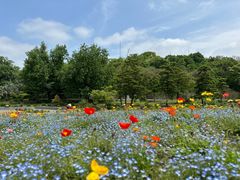 -上海辰山植物园
