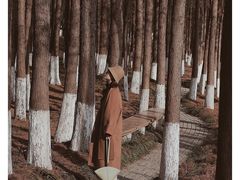 -苏州太湖湖滨国家湿地公园