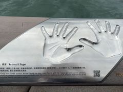-星光大道