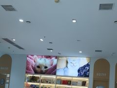 -希望动物医院(汉阳院)