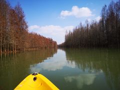 -上海海湾国家森林公园