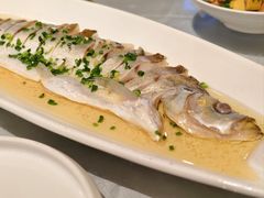 -宋园·金宴浙鲜馆(静安店)