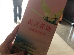 -荷兰花海