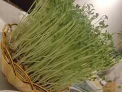-好彩猪肚鸡(正弘城店)