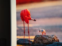 -罗红摄影艺术馆