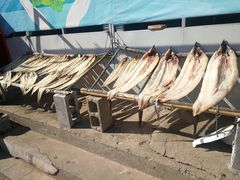 -芦潮港集贸市场