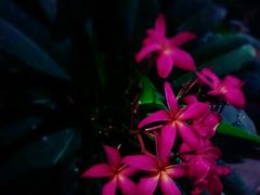 -龙达温泉生态城