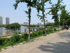 -长白岛森林公园