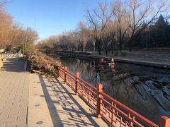 -元大都城垣遗址公园