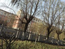 -苏州太湖国际会议中心·香山酒店·宴会厅