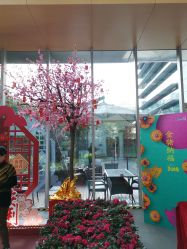 -安利上海体验馆