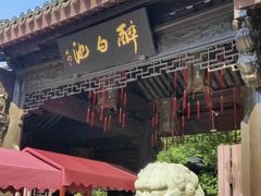 -上海醉白池公园
