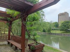 -上海月湖雕塑公园