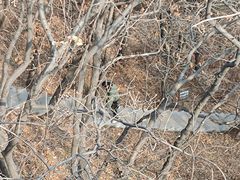 -沈阳辉山风景区