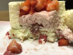 草莓酸奶芝士-柴务处·柴犬主题狗咖