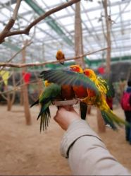 -萌宠亲子动物乐园(槐房万达店)