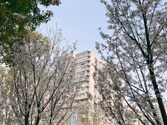 -中山公园