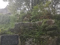 -三游洞