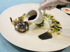 -新光酒家·河豚·海鲜·蟹料理(浦东店)